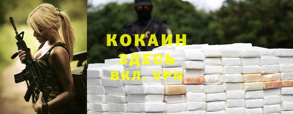 дживик Белоозёрский