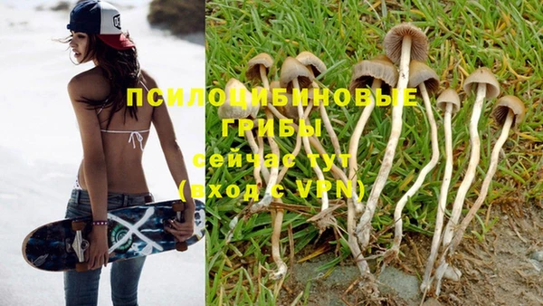 mdma Белокуриха